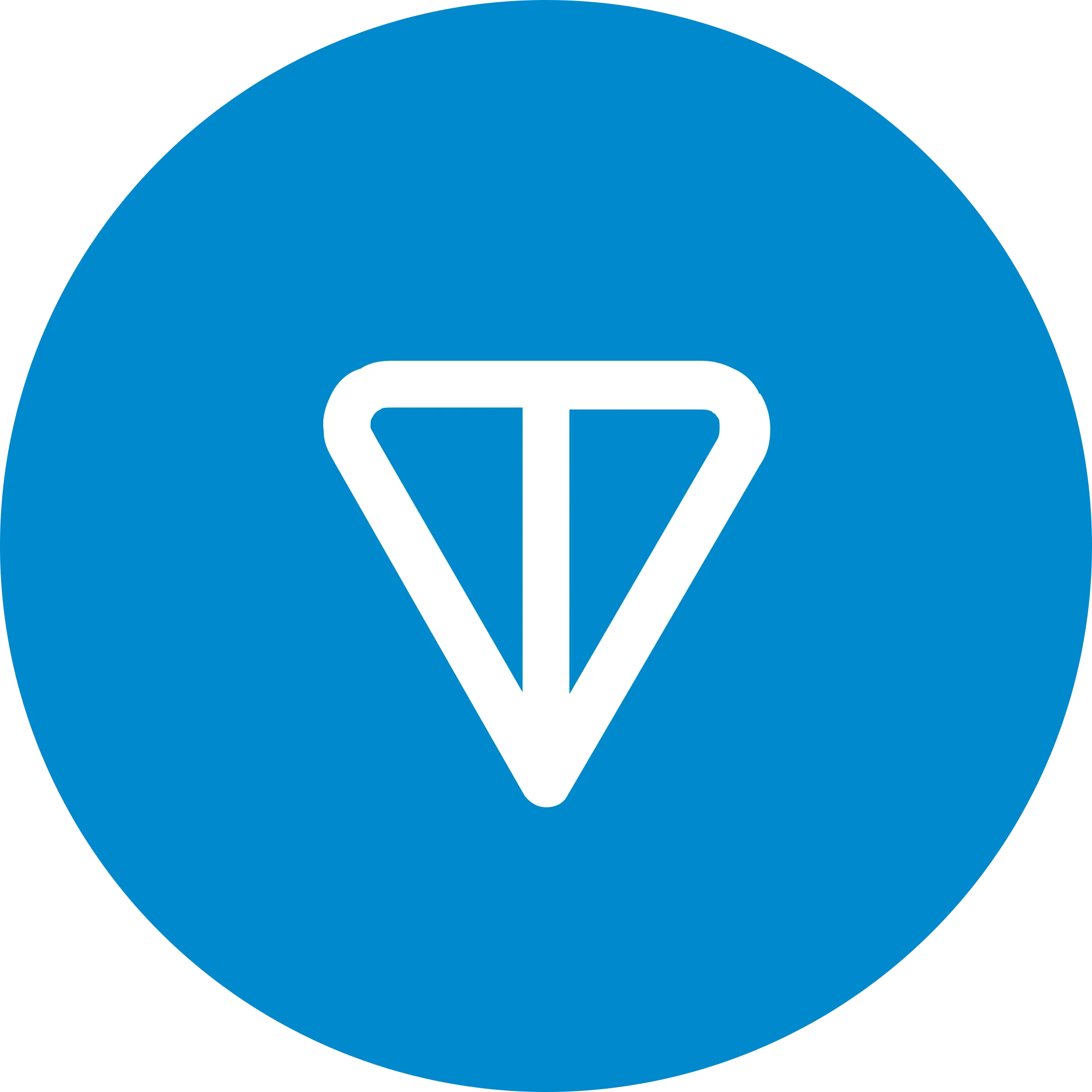 TON Coin